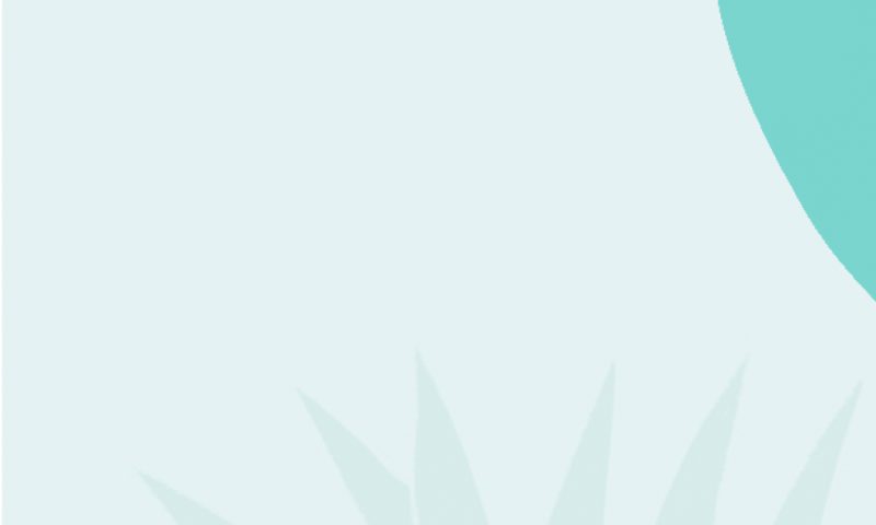 Heart disease, perimenopause and menopause Factsheet