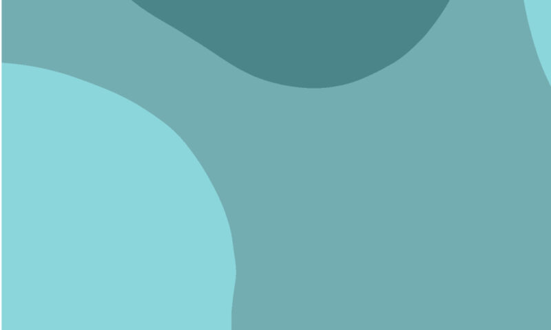 Record of confidential discussion template
