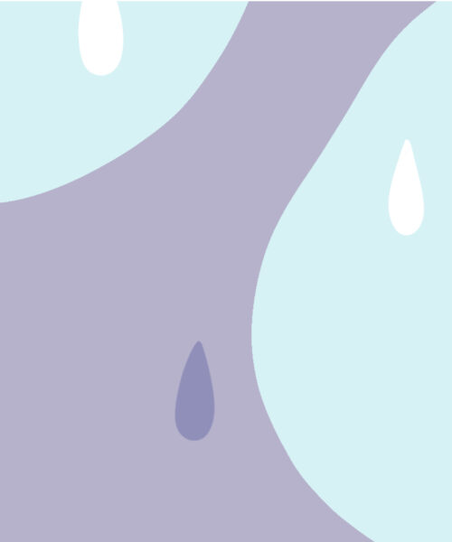 Mental helse og følelsesmessig velvære i perimenopause og overgangsalder / Mental health and emotional wellbeing in the perimenopause and menopause Booklet (Norwegian)