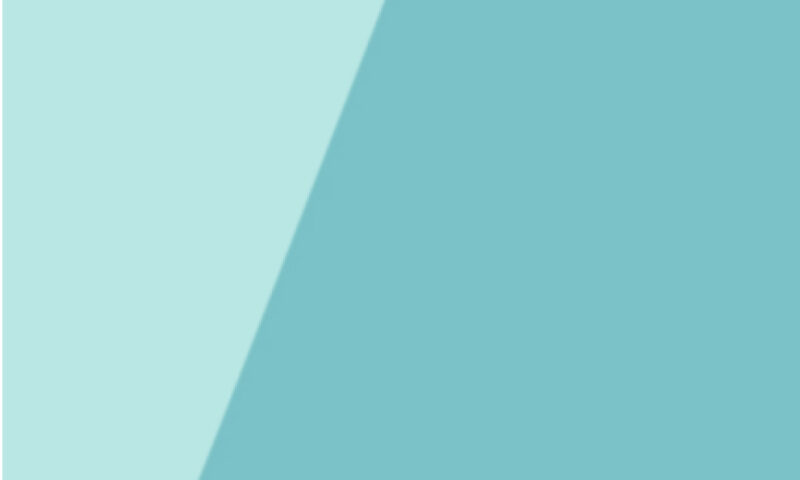 Manager’s Guidance for supporting an individual
