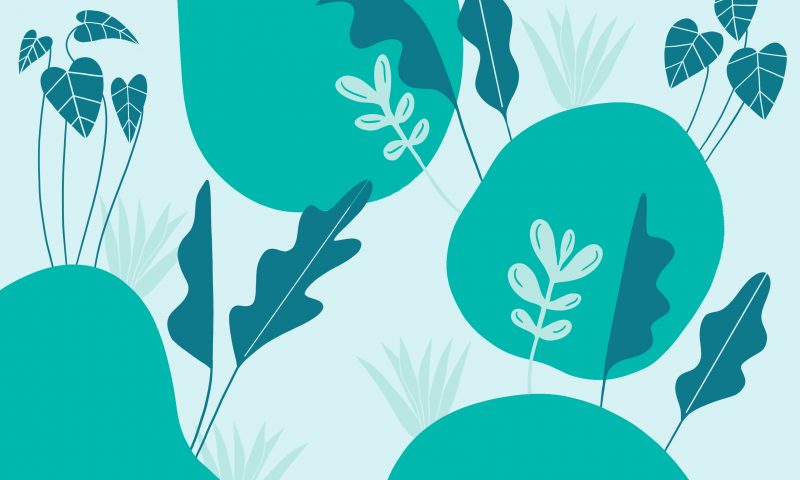 Acupuncture and Menopause
